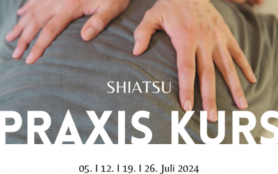 Shiatsu Praxis-Kurs im Juli