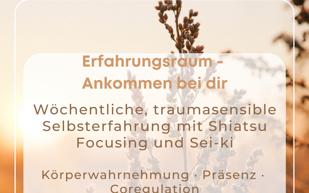 Erfahrungsraum – Ankommen bei dir